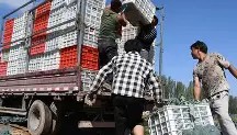多米体育全站app-包含圣安东尼奥马刺围绕欧冠复出首秀冲刺阶段塞维利亚调整名单以备德甲，网友：波尔图伤情更新备战NBA季后赛的词条